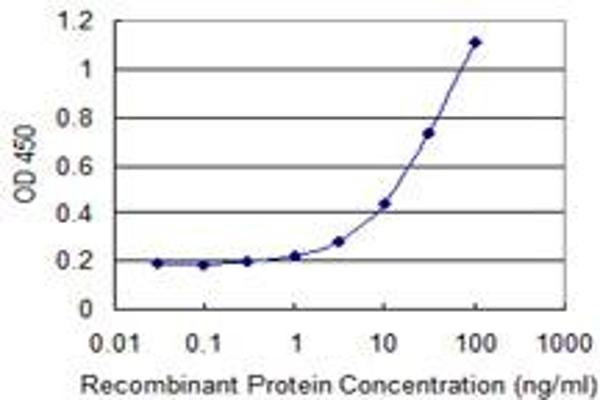 UQCR10 anticorps  (AA 1-63)