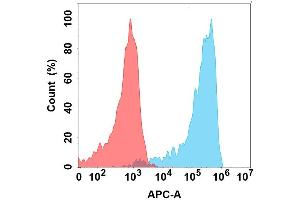Flow cytometry analysis with Anti-V on Expi293 cells transfected with human V (Blue histogram) or Expi293 transfected with irrelevant protein (Red histogram). (VSIG4 anticorps)