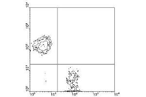 Image no. 1 for anti-CD3 epsilon (CD3E) antibody (FITC) (ABIN135087) (CD3 epsilon anticorps  (FITC))