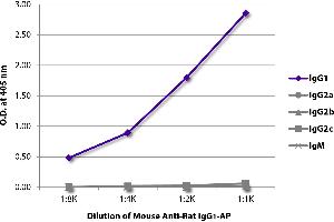 ELISA plate was coated with purified rat IgG1, IgG2a, IgG2b, IgG2c, and IgM. (Souris anti-Rat IgG1 (Fc Region) Anticorps (Alkaline Phosphatase (AP)))