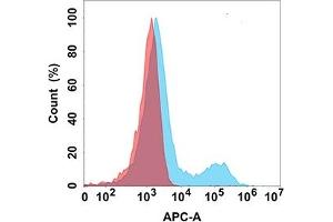 Flow cytometry analysis with Anti-NTB-A (DM159) on Expi293 cells transfected with human NTB-A (Blue histogram) or Expi293 transfected with irrelevant protein (Red histogram). (SLAMF6 anticorps  (AA 22-226))