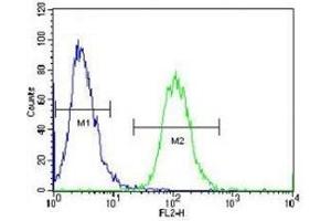 Aurora-A antibody flow cytometric analysis of HeLa cells (green) compared to a negative control (blue). (Aurora A anticorps  (AA 364-392))