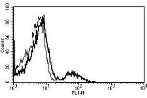 A typical staining pattern with the B-E5 monoclonal antibody of lymphocytes (CD21 anticorps)