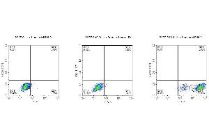 Flow Cytometry (FACS) image for Mesothelin (MSLN) protein (Fc-Avi Tag,Biotin) (ABIN7275288)