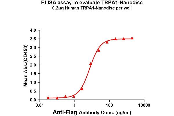 TRPA1 Protéine