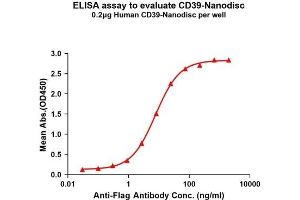 Elisa plates were pre-coated with Flag Tag CD39-Nanodisc (0. (CD39 Protéine)