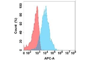 Flow cytometry analysis with Anti-CRTAM on Expi293 cells transfected with human CRTAM (Blue histogram) or Expi293 transfected with irrelevant protein (Red histogram). (CRTAM anticorps)