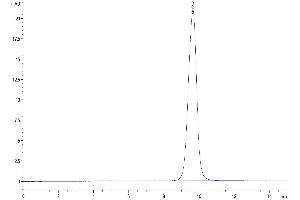 Size-exclusion chromatography-High Pressure Liquid Chromatography (SEC-HPLC) image for Tumor Necrosis Factor Receptor Superfamily, Member 18 (TNFRSF18) (AA 26-161) protein (His tag) (ABIN7274786)