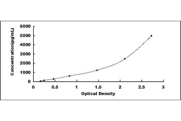 QSOX1 Kit ELISA