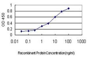 Detection limit for recombinant GST tagged USP5 is approximately 0. (USP5 anticorps  (AA 71-180))