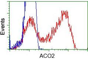 Image no. 1 for anti-Aconitase 2, Mitochondrial (ACO2) antibody (ABIN1496409) (ACO2 anticorps)