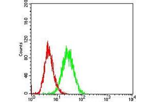 Flow cytometric analysis of Hela cells using CD36 mouse mAb (green) and negative control (red). (CD36 anticorps  (AA 30-130))