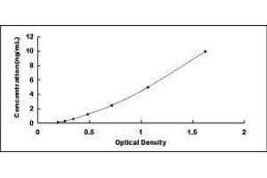 ELISA image for Nerve Growth Factor (NGF) ELISA Kit (ABIN413946) (Nerve Growth Factor Kit ELISA)