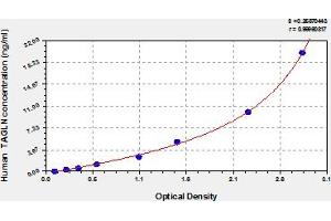 Typical Standard Curve (Transgelin Kit ELISA)