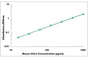 Representative Standard Curve (CCL4 Kit ELISA)