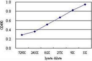 Sandwich ELISA detection sensitivity ranging from approximately 729x to 3x dilution of the SPHK1 293T overexpression lysate (non-denatured). (SPHK1 (Humain) Matched Antibody Pair)