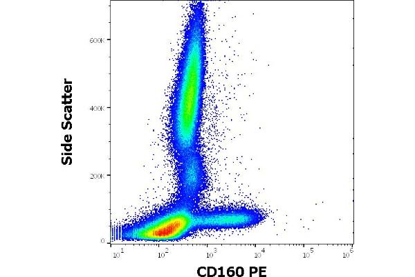CD160 anticorps  (PE)