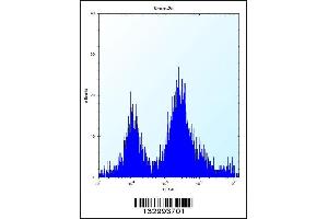 Flow cytometric analysis of Neuro-2a cells (right histogram) compared to a negative control cell (left histogram). (UBE2E2 anticorps  (N-Term))