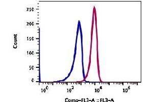 Image no. 2 for anti-Alanyl (Membrane) Aminopeptidase (ANPEP) antibody (PerCP-Cy5.5) (ABIN5067797) (CD13 anticorps  (PerCP-Cy5.5))