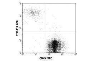 Flow Cytometry (FACS) image for anti-Erythroid Cells antibody (APC) (ABIN2667352) (Erythroid Cells anticorps  (APC))