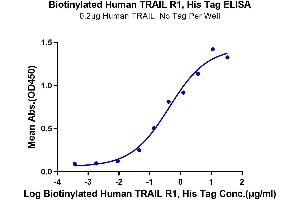 ELISA image for Tumor Necrosis Factor Receptor Superfamily, Member 10a (TNFRSF10A) protein (His-Avi Tag,Biotin) (ABIN7275778)