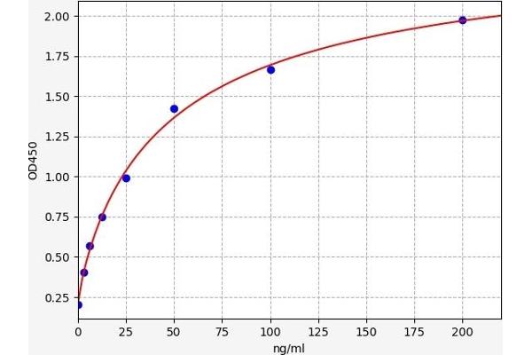 AZGP1 Kit ELISA