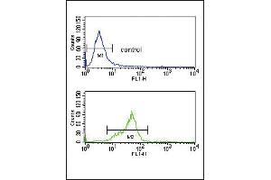 GNAO1 Antibody (C-term) (ABIN653078 and ABIN2842677) flow cytometry analysis of K562 cells (bottom histogram) compared to a negative control cell (top histogram). (GNAO1 anticorps  (C-Term))