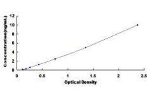 ELISA image for Carbonyl Reductase 3 (CBR3) ELISA Kit (ABIN420880) (CBR3 Kit ELISA)