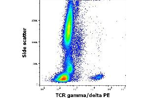 Flow cytometry surface staining pattern of human peripheral whole blood stained using anti-human TCR gamma/delta (11F2) PE antibody (10 μL reagent / 100 μL of peripheral whole blood). (TCR gamma/delta anticorps  (PE))