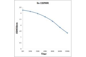 Antigen: 0. (NLGN1/NLGN2 (AA 251-350) anticorps)