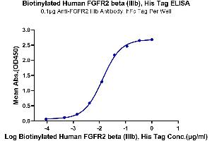 Immobilized Anti-FGFR2 IIIb Antibody, hFc Tag at 1 μg/mL (100 μL/well) on the plate. (FGFR2 beta (AA 152-378) protein (His-Avi Tag,Biotin))