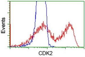 HEK293T cells transfected with either RC200494 overexpress plasmid (Red) or empty vector control plasmid (Blue) were immunostained by anti-CDK2 antibody (ABIN2454523), and then analyzed by flow cytometry. (CDK2 anticorps)