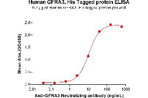 ELISA plate pre-coated by 2 μg/mL (100 μL/well) Human G Protein, His Tag (ABIN7092776, ABIN7272368 and ABIN7272369) can bind Anti-G Neutralizing antibody ABIN7477994 and ABIN7490926 in a linear range of 2. (GFRA3 Protein (AA 32-374) (His tag))