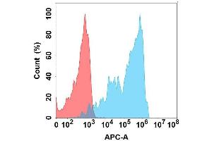 Flow cytometry analysis with Anti-CD162 on Expi293 cells transfected with human CD162 (Blue histogram) or Expi293 transfected with irrelevant protein (Red histogram). (SELPLG anticorps)