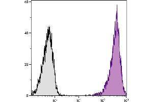 DBA/2 mouse mastocytoma cell line P815 and mB7. (CD86 anticorps  (PE-Cy7))