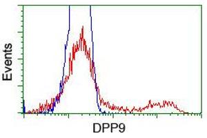 HEK293T cells transfected with either RC224465 overexpress plasmid (Red) or empty vector control plasmid (Blue) were immunostained by anti-DPP9 antibody (ABIN2455318), and then analyzed by flow cytometry. (DPP9 anticorps)