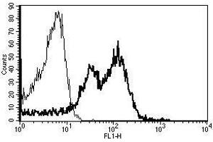 A typical staining pattern with the B-D15 monoclonal antibody of lymphocytes (ITGB1 anticorps)