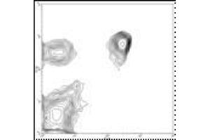 Image no. 1 for anti-CD4 (CD4) antibody (FITC) (ABIN474077) (CD4 anticorps  (FITC))