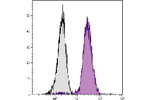 C57BL/6 mouse bone marrow cells were stained with Mouse Anti-Mouse CD45. (CD45.2 anticorps  (SPRD))