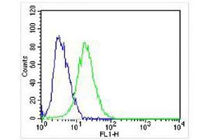 Overlay histogram showing SH-SY5Y cells stained with (ABIN6242228 and ABIN6578319) (green line). (NGFR anticorps  (C-Term))