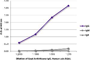 ELISA plate was coated with purified mouse IgG, IgM, and IgA. (Chèvre anti-Souris IgG Anticorps (beta-Gal))