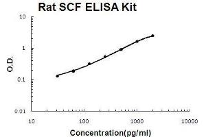 Rat SCF PicoKine ELISA Kit Standard Curve (KIT Ligand Kit ELISA)