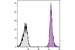 Flow Cytometry (FACS) image for Goat anti-Rat IgG (Heavy & Light Chain) antibody (SPRD) - Preadsorbed (ABIN376719)