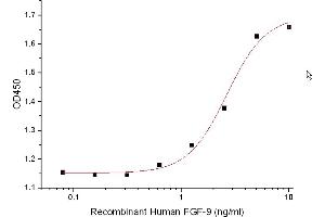 Measured in a cell proliferation assay using Balb/3T3 mouse embryonic fibroblast cells. (FGF9 Protéine)