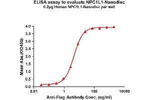 Elisa plates were pre-coated with Flag Tag L1-Nanodisc (0. (NPC1L1 Protéine)