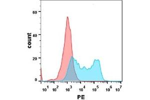 Flow cytometry analysis with Anti-BAFF-R  (DM127) on Expi293 cells transfected with human BAFF-R (Blue histogram) or Expi293 transfected with irrelevant protein(Red histogram). (TNFRSF13C anticorps  (AA 7-71))
