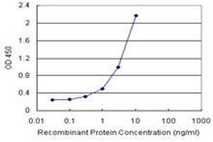 Sandwich ELISA detection sensitivity ranging from 0. (COMMD1 (Humain) Matched Antibody Pair)