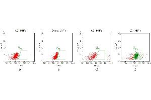 FACS analysis of CB1 MNPs A. (CNR1 Protéine)