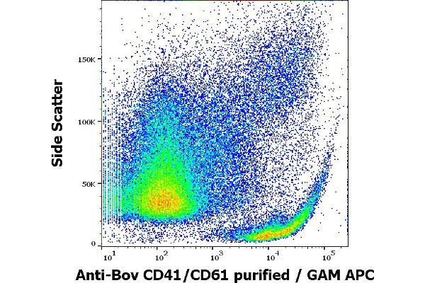 CD41, CD61 anticorps