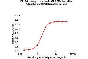 Elisa plates were pre-coated with Flag Tag R-Nanodisc (0. (GLP2R Protéine)